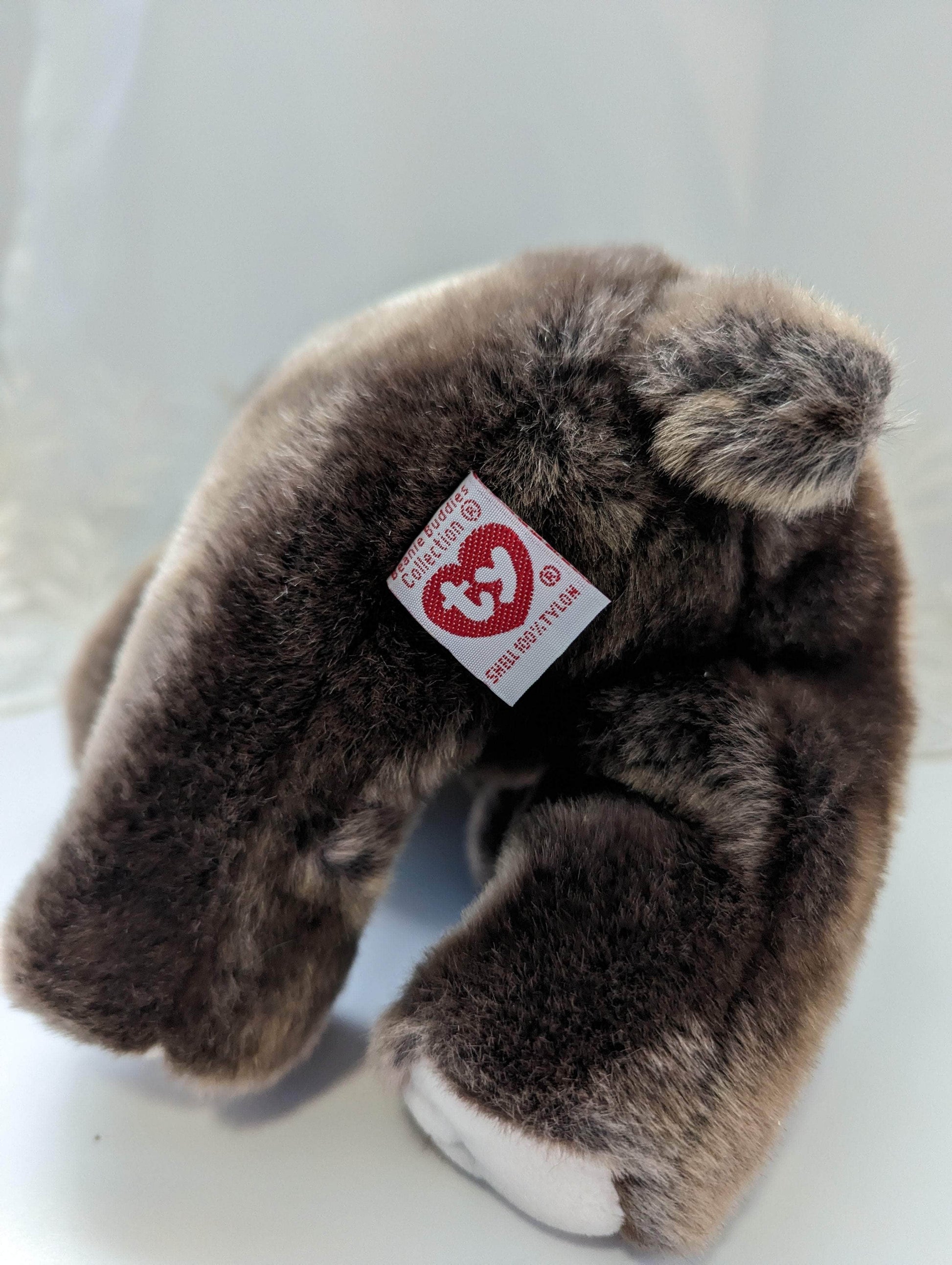 Ty Beanie Buddy - Trumpet The Elephant (10in) - Vintage Beanies Canada