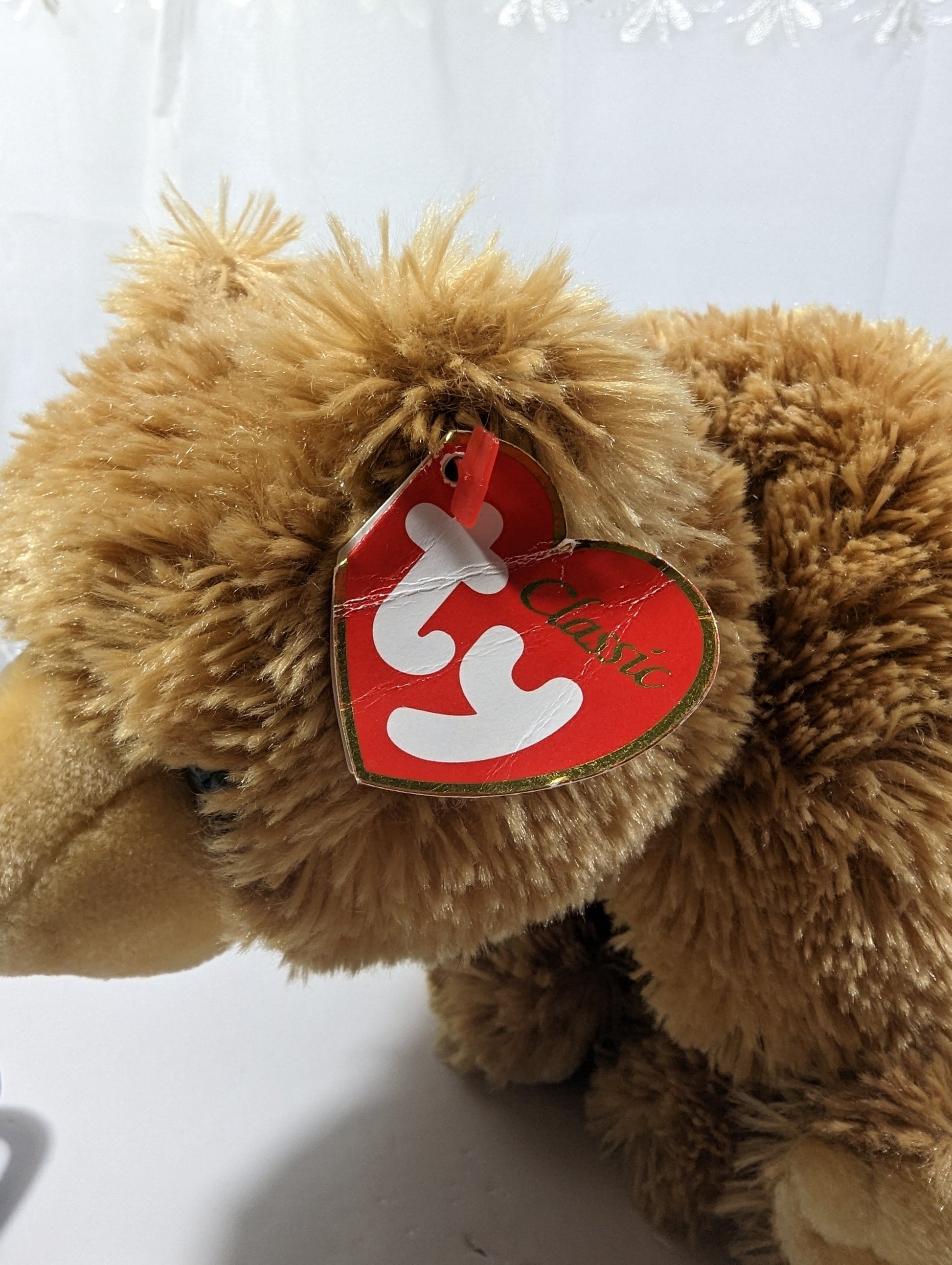 Ty Classic Collection - Camper The Brown Bear (11 in) Creased Tag - Vintage Beanies Canada