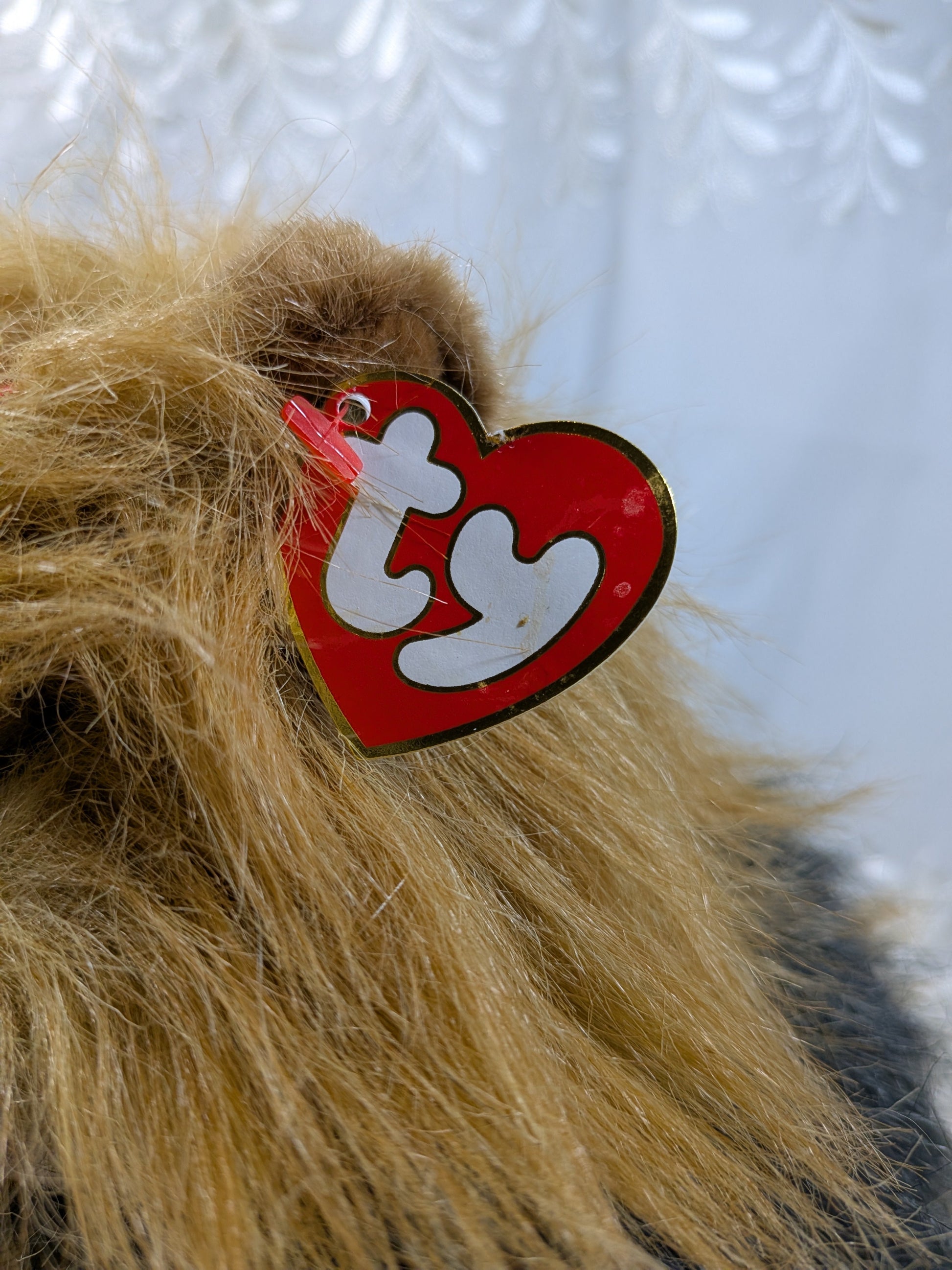 Ty Classic Collection - Yappy the Yorkshire Terrier Dog (9in) Non - mint Tag - Vintage Beanies Canada
