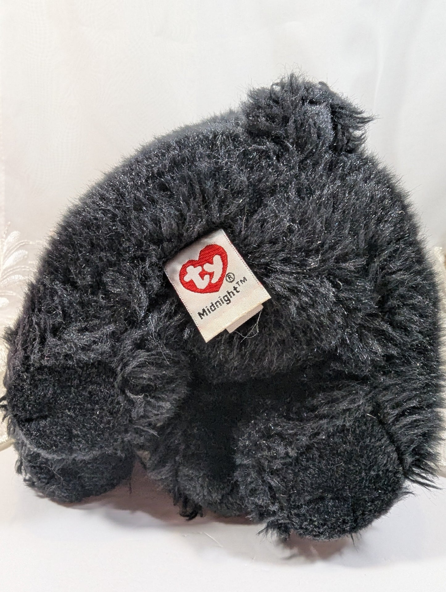 TY Wild Wild Best Classic - Midnight The Black Bear (10in) No Tag - Vintage Beanies Canada