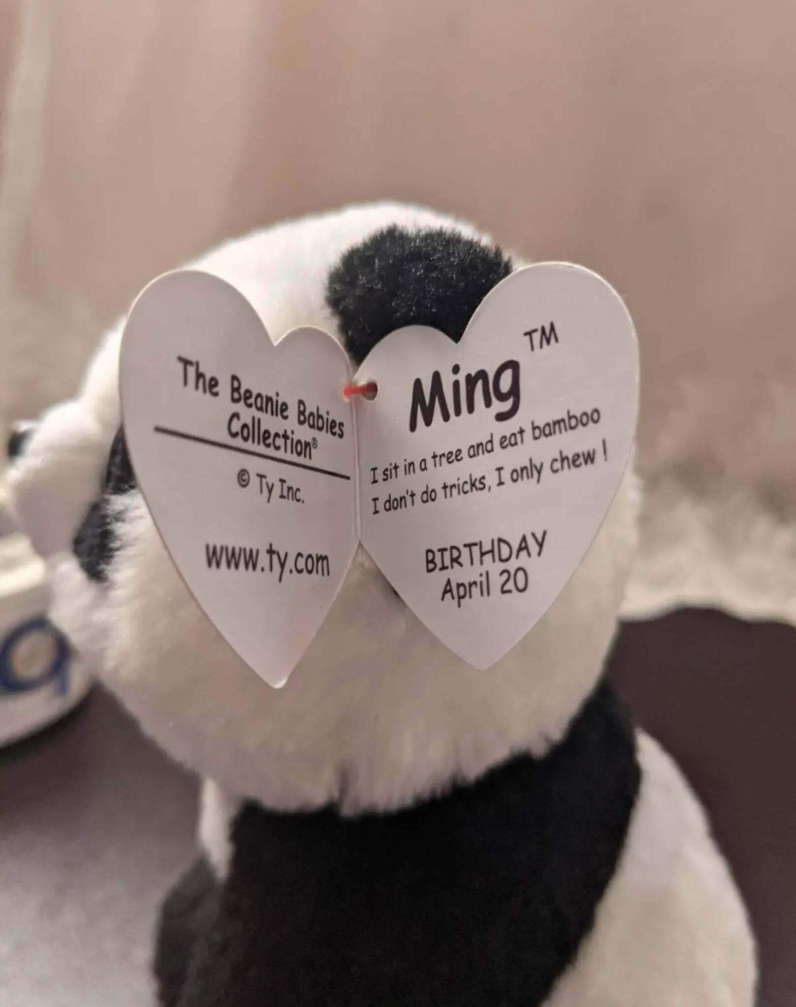 Panda beanie 2024 baby tag