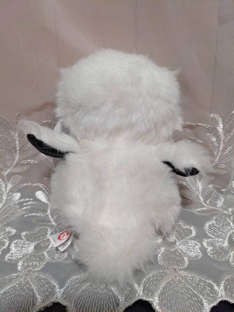 TY Beanie Boos - Austin the White Owl 6 Plush Toytown – Toytown