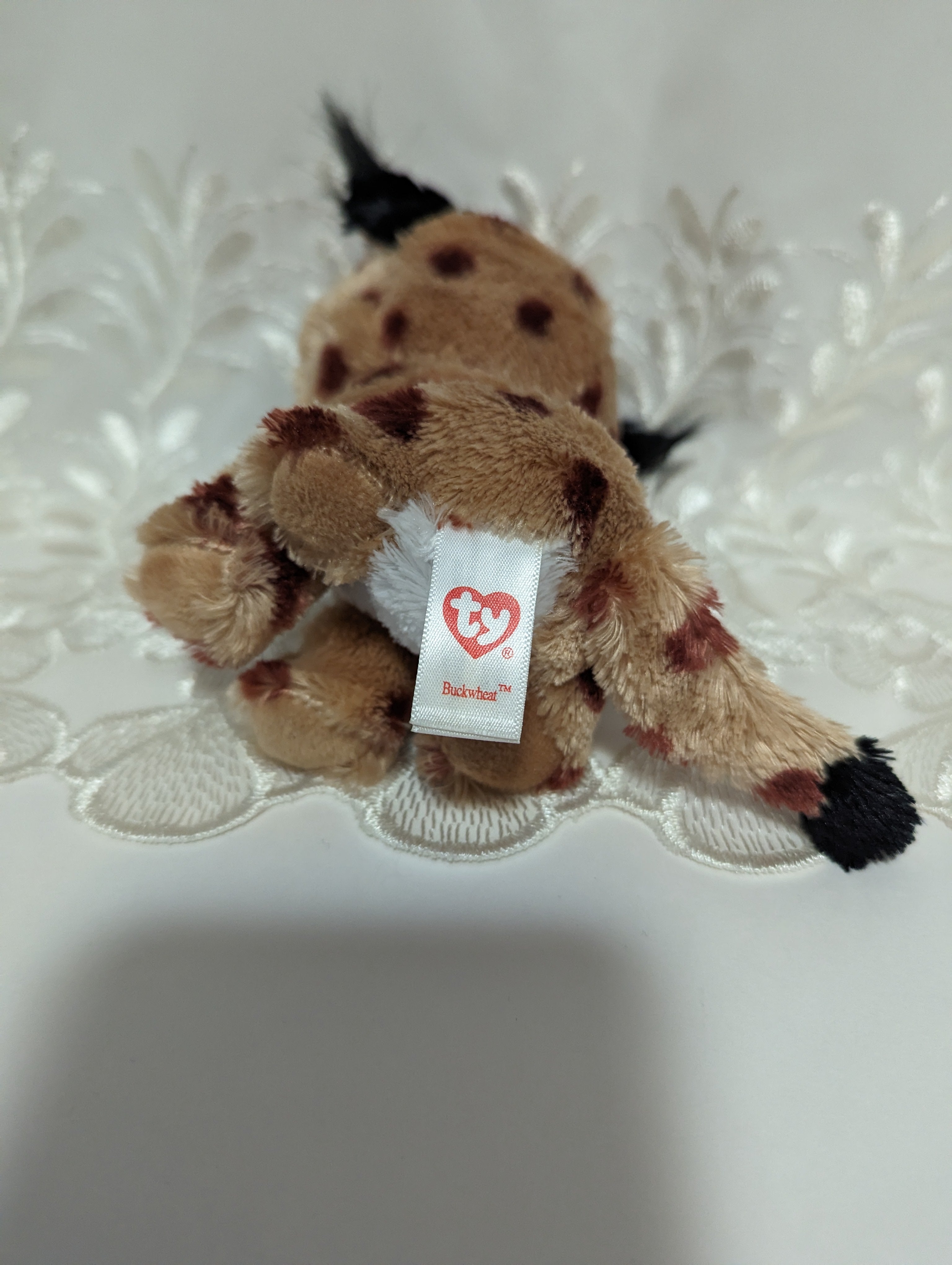 Buckwheat the deals lynx beanie boo